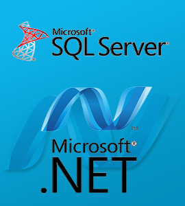 ASP .Net