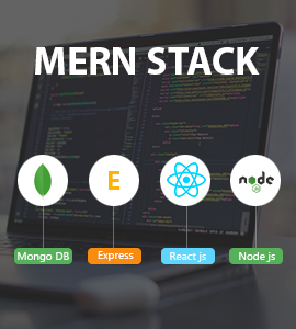 MERN Full Stack Course