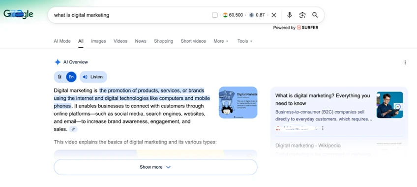 SERP AI Overview section