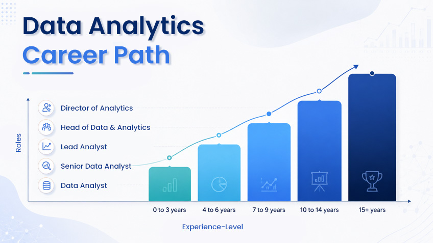 Data Analytics career path